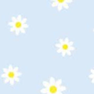 Meet your Posher, Ella